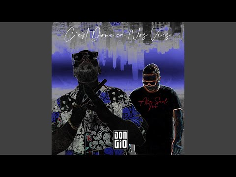 C'est donc ça nos vies (feat. Aka Seul Two)