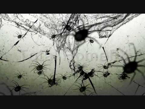 Spiders. Halloween Projector Video.