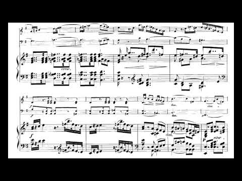 Piano trio, violin and cello op. 17, III. Andante (C. Schumann) Score Animation