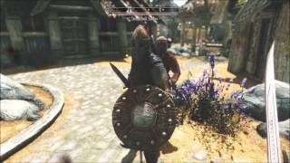 The Elder Scrolls V Assassin's Creed Mod