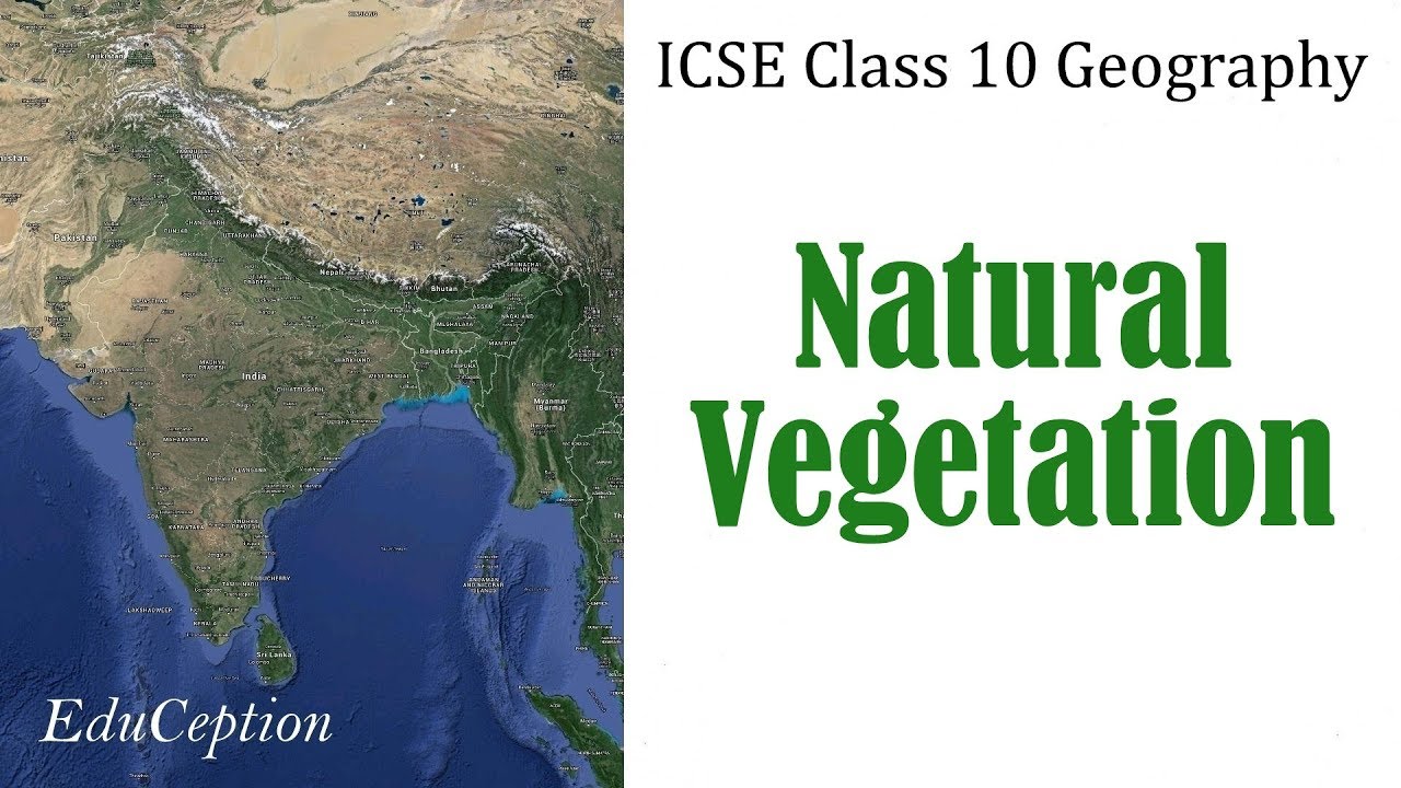 NATURAL VEGETATION | ICSE Class 10 Geography