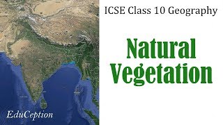 NATURAL VEGETATION | ICSE Class 10 Geography