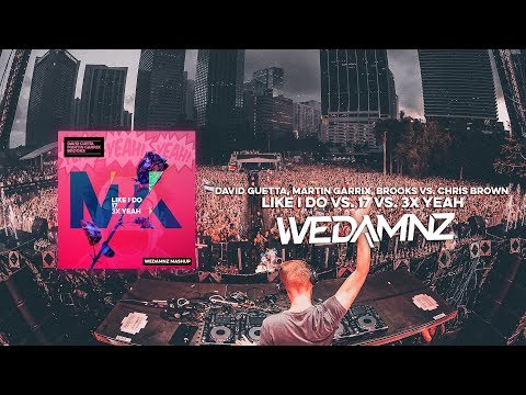 David Guetta, Martin Garrix, Brooks vs. Chris Brown - Like I Do vs. 17 vs. 3x Yeah (WeDamnz Mashup)
