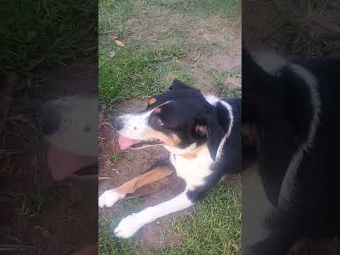 Parque Saavedra, Buenos Aires, 03/04/26, 18:18 horas.... feriado largo...!!!