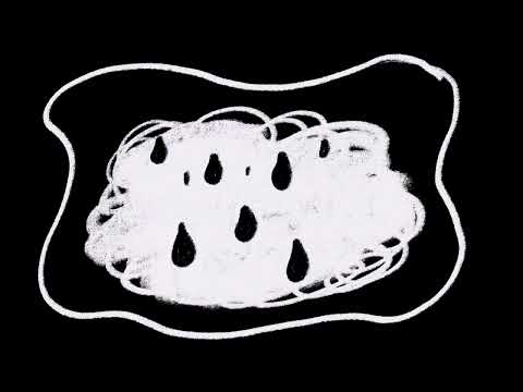 “Sea of Faces” Music Video