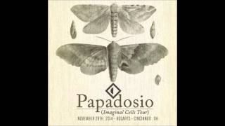 Papadosio - How Not to Float live in Cincinnati at Bogarts