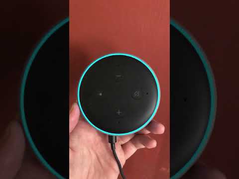 Alexa, play me the music of…