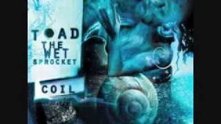 Toad the Wet Sprocket-Throw it all away