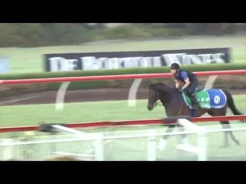 The Championships Contender - Tosen Stardom