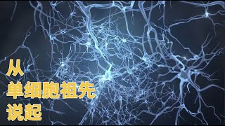 [問卦] 地球會不會只是外星人在做科展