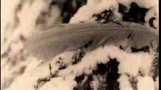 Timo Rautiainen & Trio Niskalaukaus - Hyvä Päivä