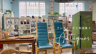 まるでアンティーク百貨店⁉驚きの品ぞろえを一挙紹介!!