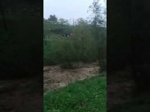 Torrente Ceggio telve