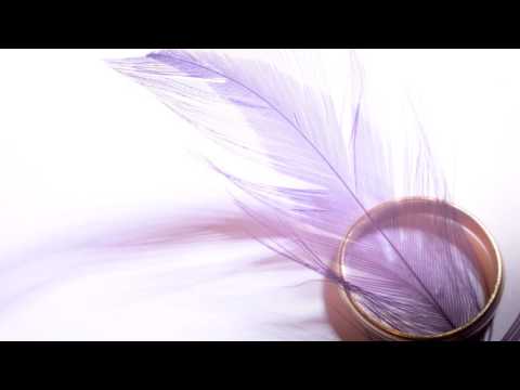 Megaraptor - Prsten i Zlatni Lanac/Tinasormus (Instrumental Metal Cover)