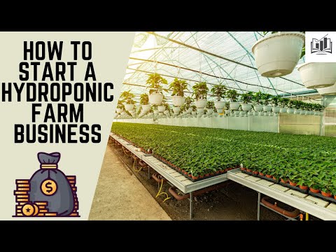 , title : 'How to Start a Hydroponic Farm Business | Starting a Hydroponic Farm Business'
