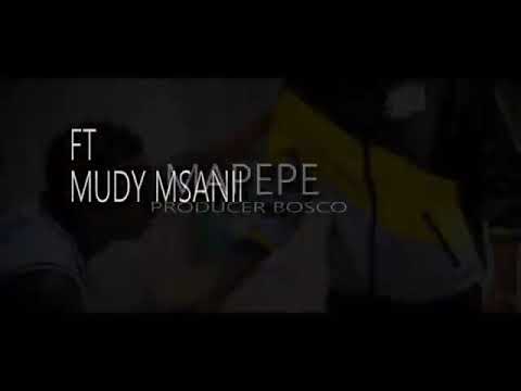 Gebo Mc ft Muddy Msanii - Mapepe official video