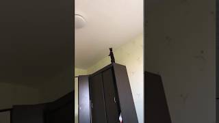 Video 2