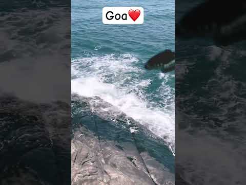 Goa beach❤️ #inshort #shorts #shortsfeed