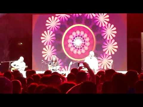 H.O.H هاني عادل - اوسو - هاني الدقاق - قلبي يحدثني -