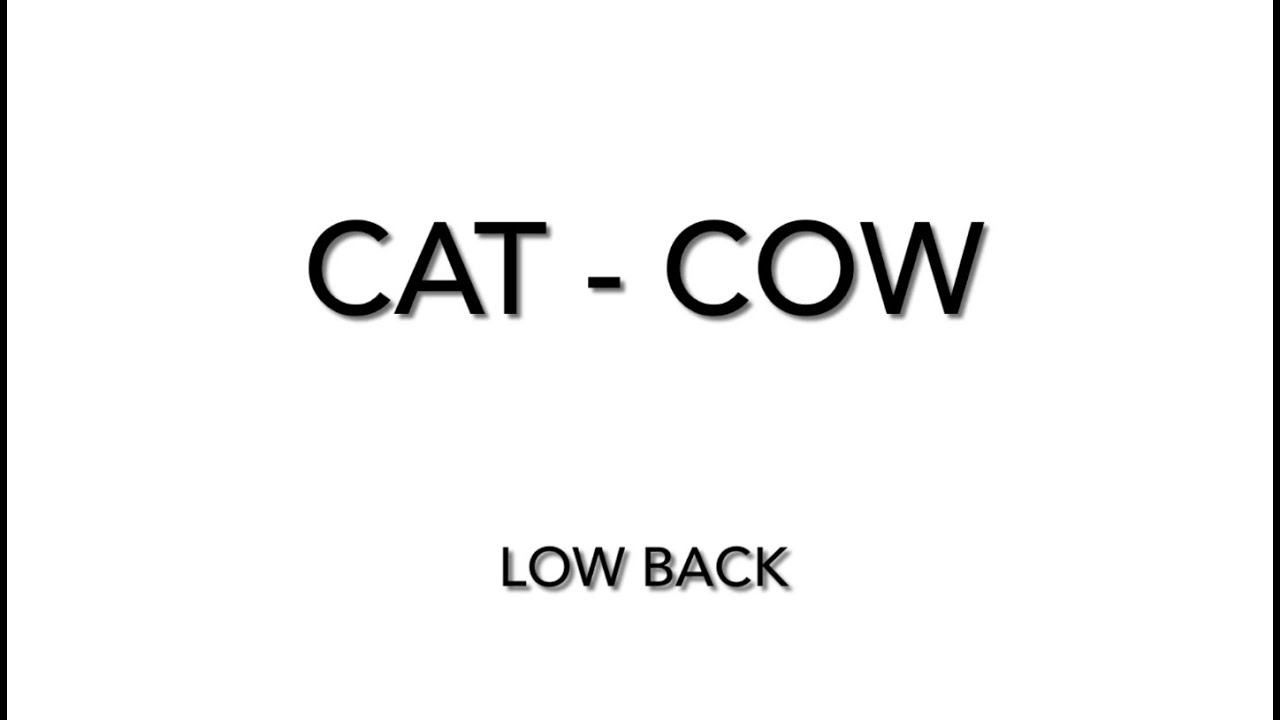 16. Cat-Cow