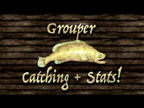 TLOPO: Catching Grouper + Stats! (Fish)