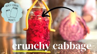 How to Can CRUNCHY Cabbage |  Preserving Crunchy Red Cabbage Slaw | March Canning Madness