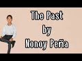 The Past - Nonoy Peña Cover (lyrics) 🎵