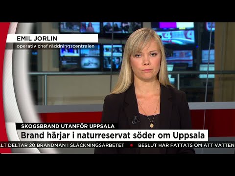Så försöker räddningstjänsten släcka skogsbranden - Nyheterna (TV4)