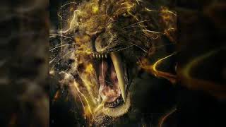 Nimo- Hoodi feat Soufian