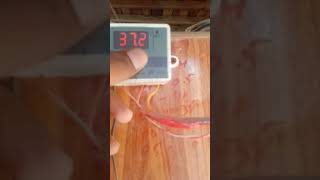 Incubator k temperature setting #incubator #hatchery #aseel #birds #FWM