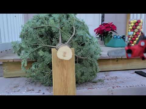 6" chainsaw vs 6" carbide pruning recip saw - HATCHET vs HACKZALL