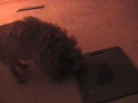 One kernel at a time