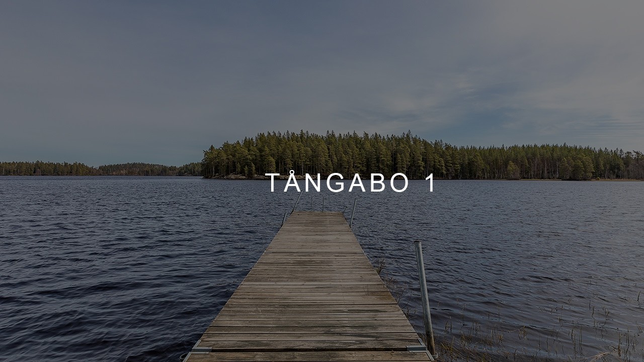 2 rum Fritidshus på Tångabo 1 Åseda Uppvidinge kommun - video