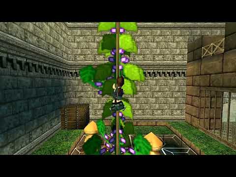 TRLE 2006.06.23 - Castle Riverrun 2 - Part II/1, Castle Riverrun