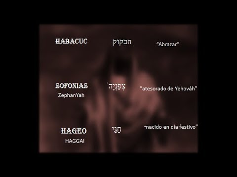 libros sellados de los profetas Habacuc, Sofonias y Hageo