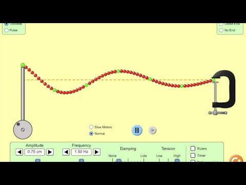 Back To School Phet Waves String Study Aids
