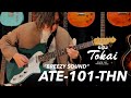 NEW MODEL Tokai ATE 101 THN