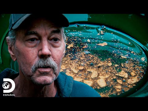A huge haul extracted from a gold mine | Gold Rush: Troubled Waters | Discovery in Spanish