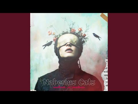 Punk Rock Show (Remix)