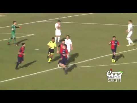 Highlights Anconitana - Vigor Senigallia (2 - 2)