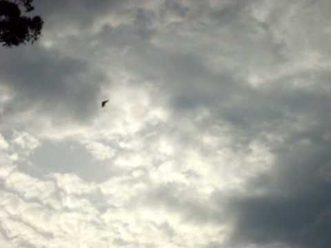 Circulo Militar de Campinas - Rota dos ultraleves