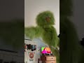 Jason The Green Monster Does The Jazzmin Dance From The Doodlebops