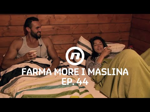 Tri kreveta, jedan bračni - Epizoda 44 | Farma More i Maslina