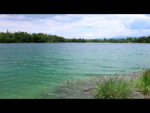 "Stagnum" (2024) de Gérard Courant