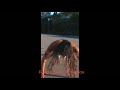 Girl Hot Gym Vedio Fuddu Gym Motivation