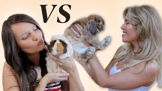 RABBITS VS GUINEA PIGS feat. @SqueakDreams