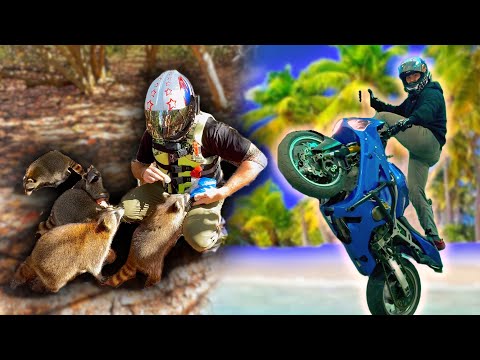 I Rode To The Mysterious RACCOON Island...