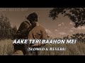 Aake Teri Baahon Mein Slowed Reverb Lata Mangeshkar S P Balasubrahmanyam Lofi Music Off