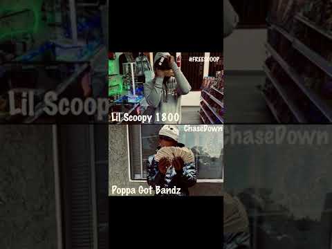 Poppa Got Bandz x Lil Scoopy1800- ChaseDown (Audio) #FREESCOOP
