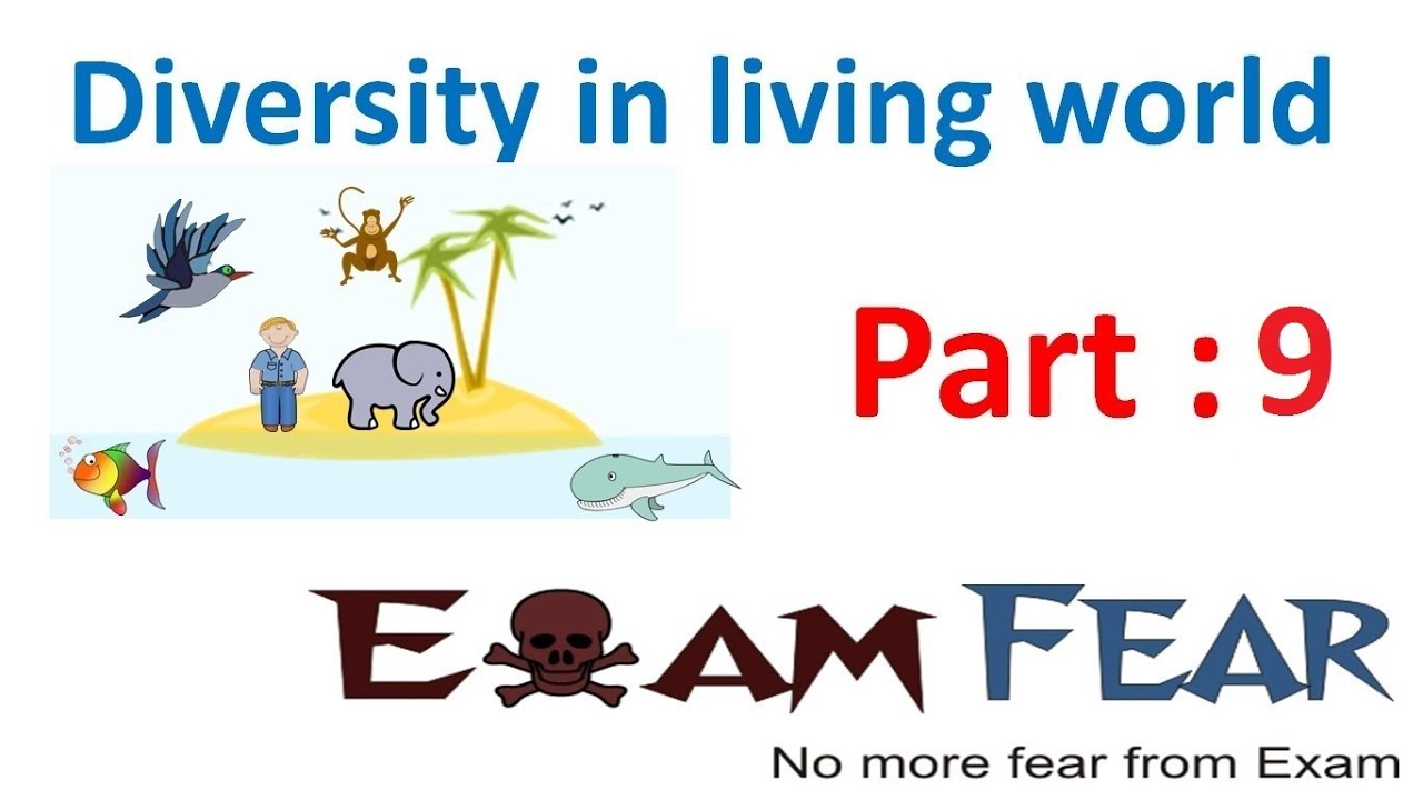 Biology Diversity in Living World part 9 (Species, Genus, Family) CBSE class 11 XI